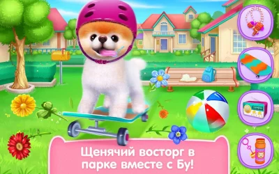 Бу - Самая милая собачка! screenshot №5