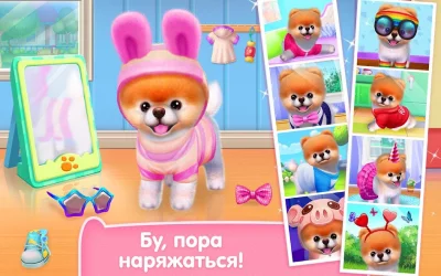 Бу - Самая милая собачка! screenshot №7