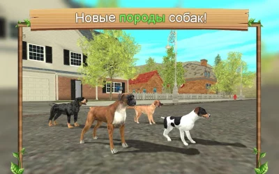 Симулятор Собаки Онлайн screenshot №4