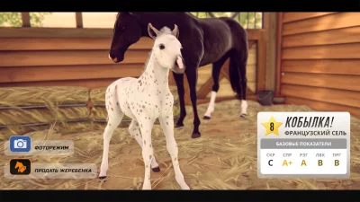 Состязание звезд: скачки screenshot №4